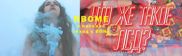 спайс Каменка