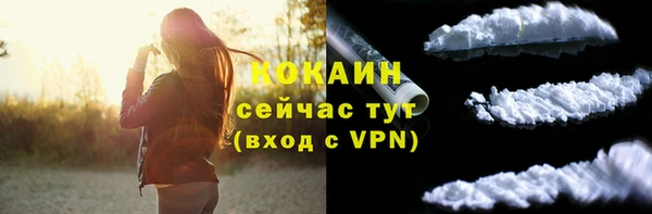 mdpv Вяземский