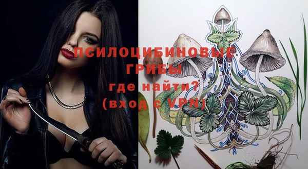 mdpv Вяземский