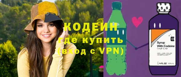 mdpv Вяземский