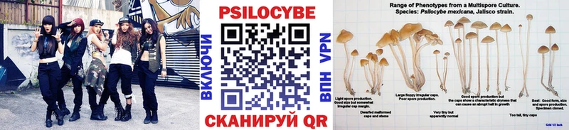 OMG tor  Дальнегорск  Галлюциногенные грибы прущие грибы 