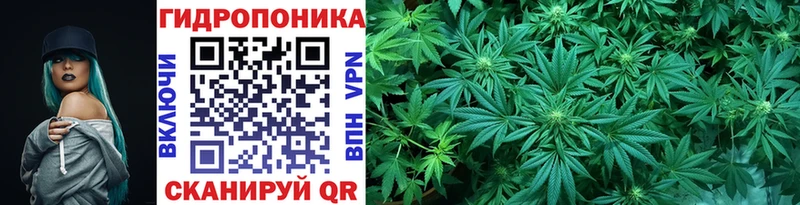 Бошки марихуана Bruce Banner  как найти закладки  Дальнегорск 